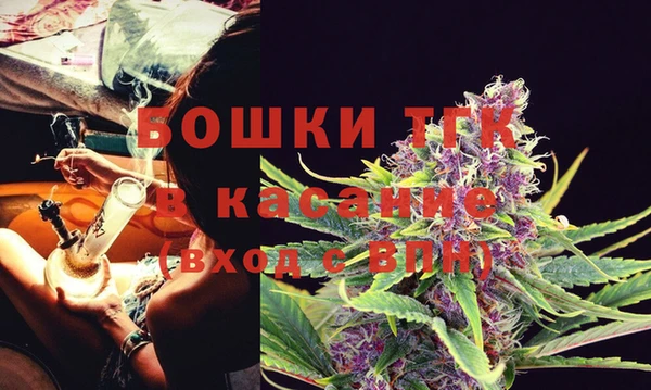 PSILOCYBIN Волосово