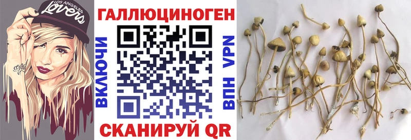 Галлюциногенные грибы Magic Shrooms  гидра tor  Северобайкальск 
